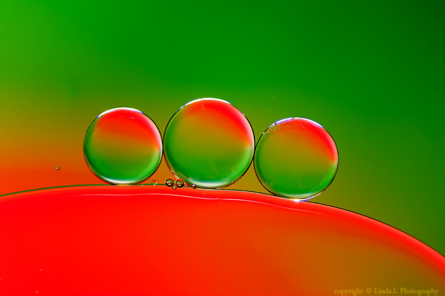 magnifiques-photos-macro-en-utilisant-simplement-de-lhuile-et-de-leau5