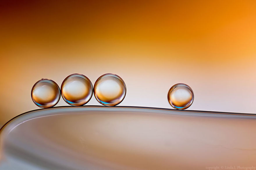 magnifiques-photos-macro-en-utilisant-simplement-de-lhuile-et-de-leau6