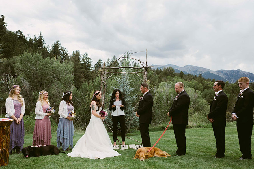 chien-de-15-ans-reste-en-vie-pour-voir-le-mariage-de-sa-proprietaire-2