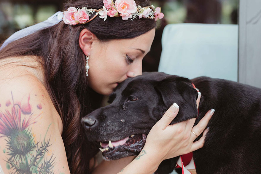 chien-de-15-ans-reste-en-vie-pour-voir-le-mariage-de-sa-proprietaire-4