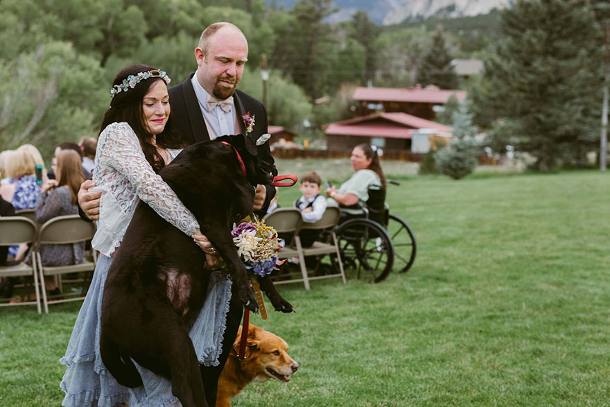 chien-de-15-ans-reste-en-vie-pour-voir-le-mariage-de-sa-proprietaire-5