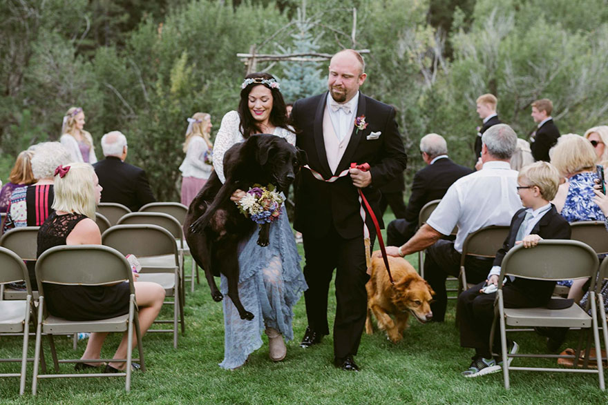 chien-de-15-ans-reste-en-vie-pour-voir-le-mariage-de-sa-proprietaire-7