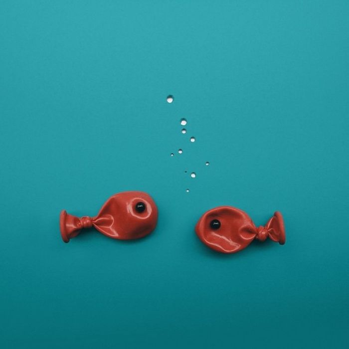 creative-arrangements-common-objects-benedetto-demaio-51-57e8db3a28343__700