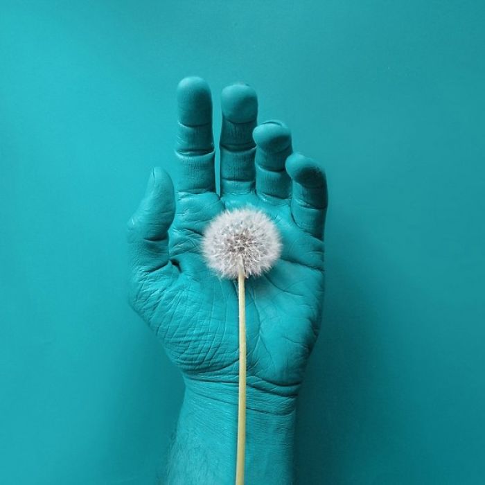 creative-arrangements-common-objects-benedetto-demaio-52-57e8db3bc72f8__700