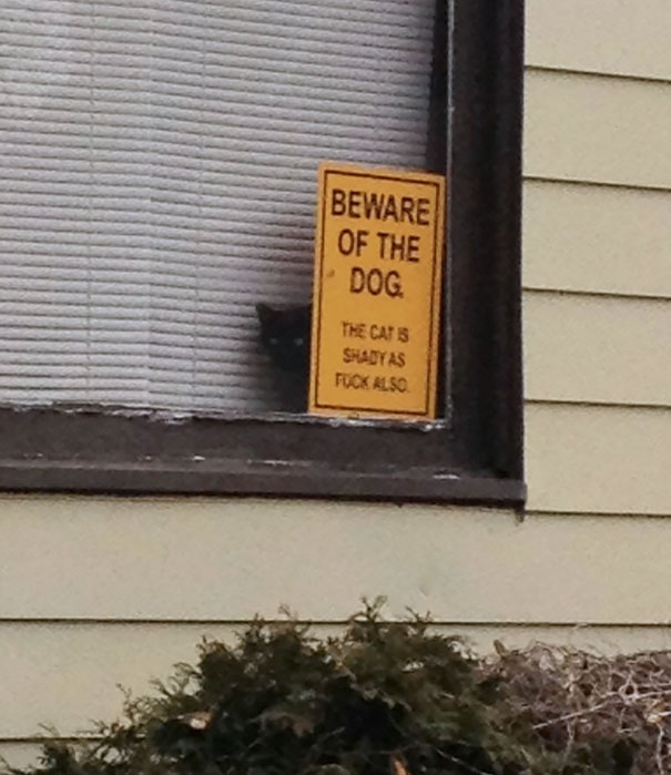 beware-of-the-dog-11-57ee5605bc257__605
