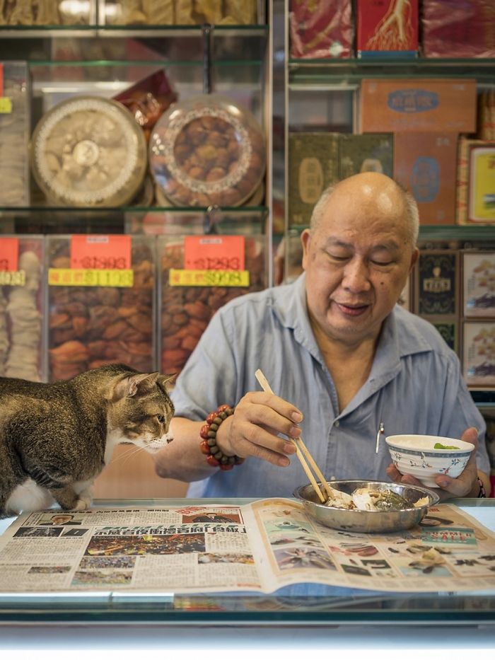 shop-cats-photography-marcel-heijnen-hong-kong-31-5809cda41976e__700