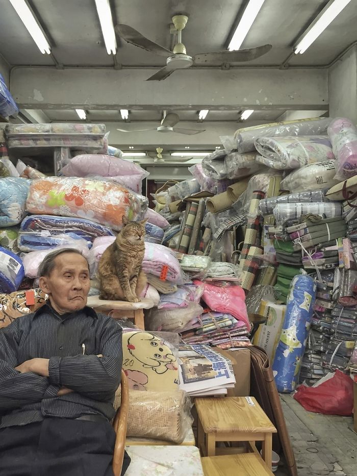 shop-cats-photography-marcel-heijnen-hong-kong-32-5809cda74b100__700