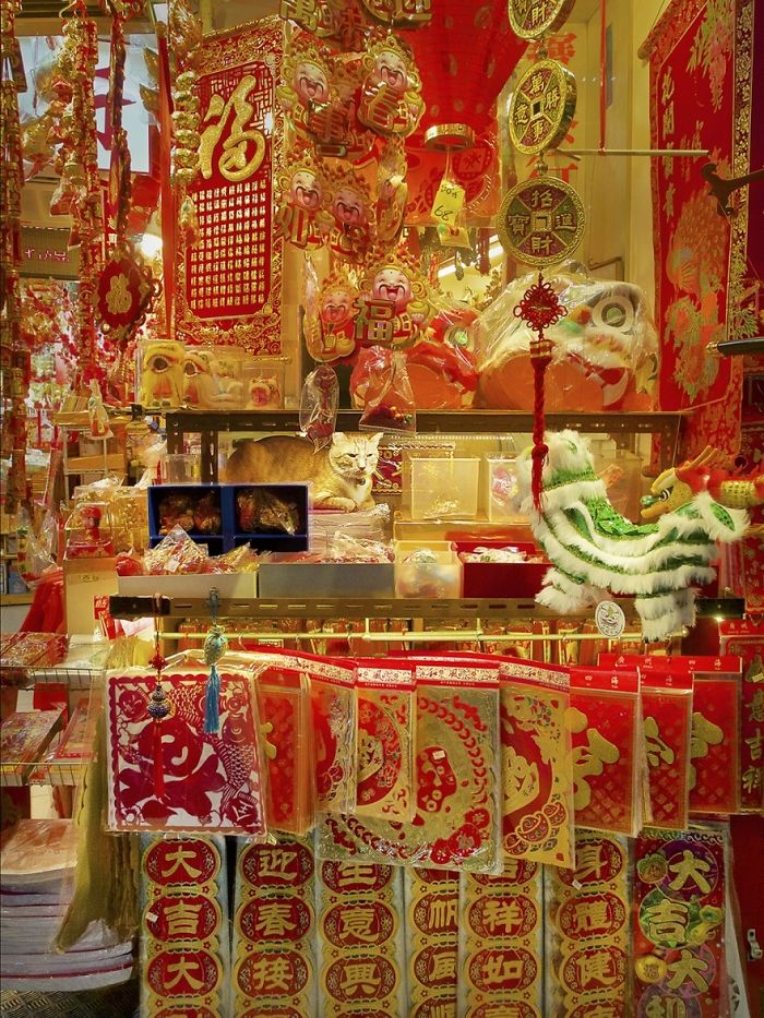 shop-cats-photography-marcel-heijnen-hong-kong-34-5809cdaf99a1c__700