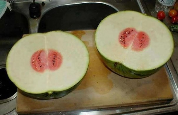 most-pointless-useless-things-50-580f127697aa2__605