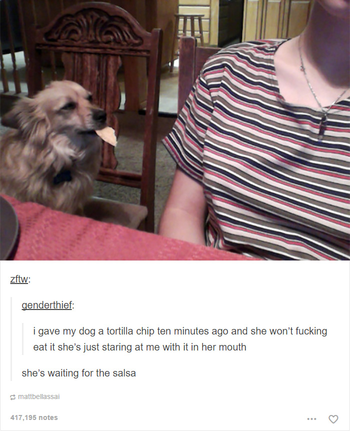 funny-tumblr-dogs-27-58131e53151c8__700