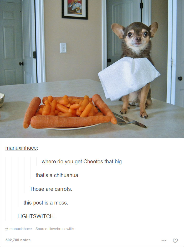 funny-tumblr-dogs-92-58134d02bf085__700