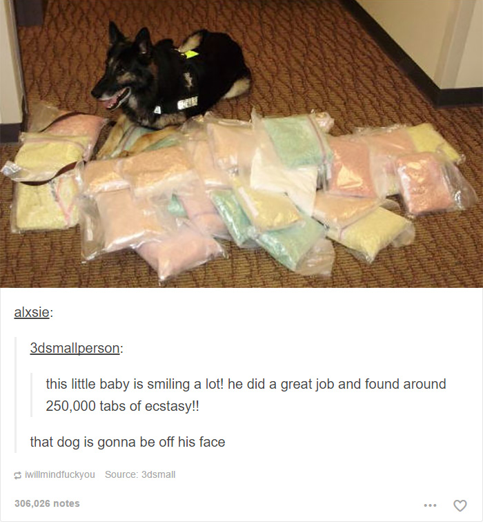 funny-tumblr-dogs-32-58131e60a11bb__700