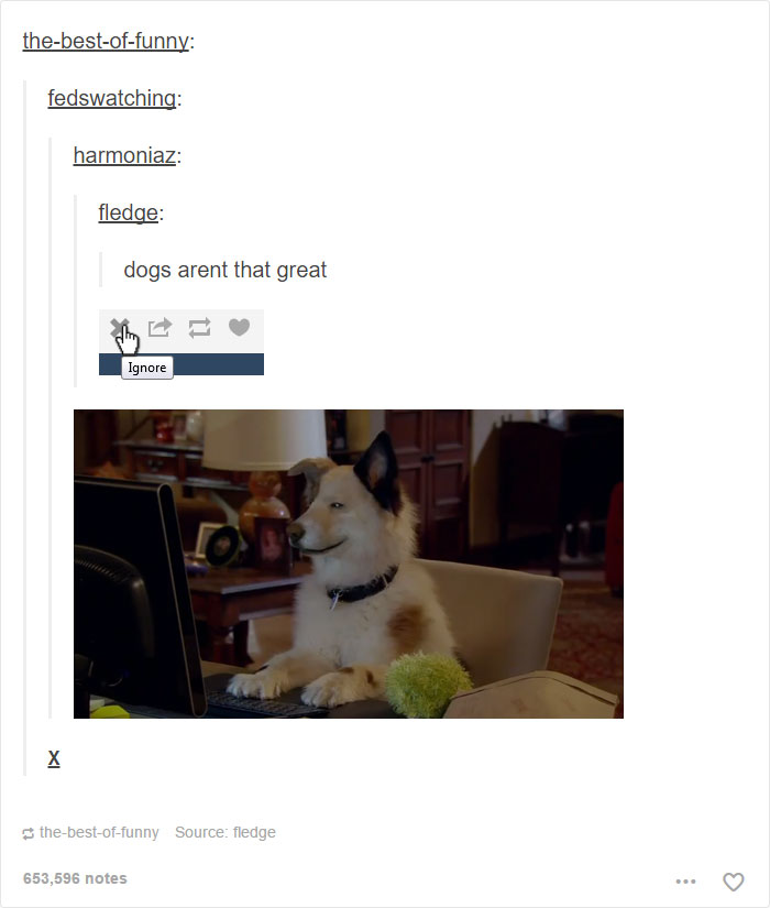 funny-tumblr-dogs-5-58131e170c912__700