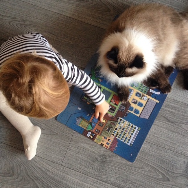 children-need-a-cat-in-their-life-01