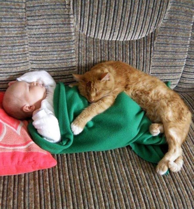 children-need-a-cat-in-their-life-03