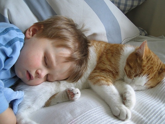 children-need-a-cat-in-their-life-09