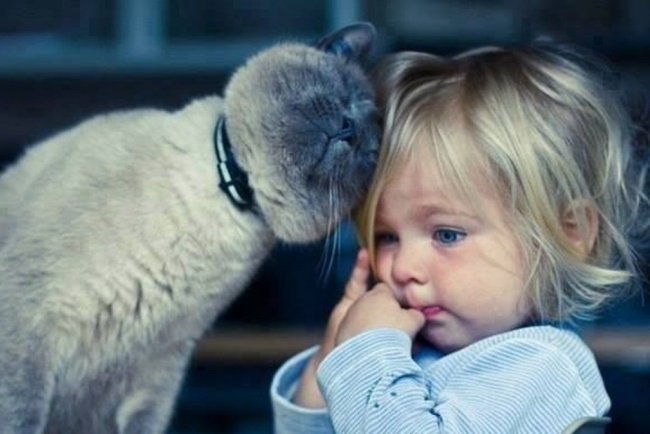 children-need-a-cat-in-their-life-10