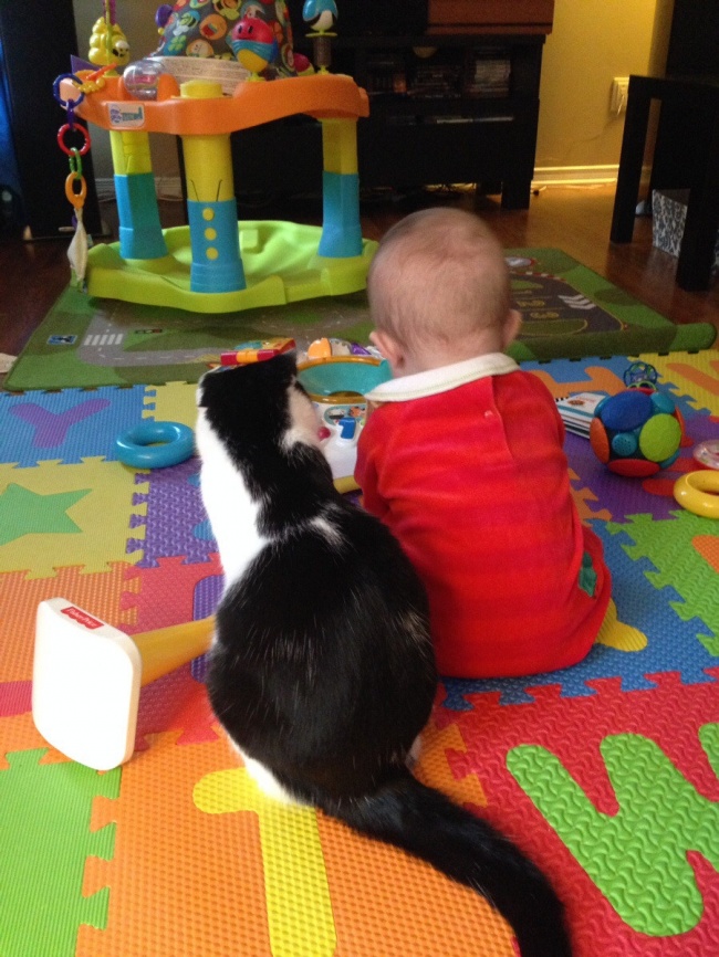 children-need-a-cat-in-their-life-11