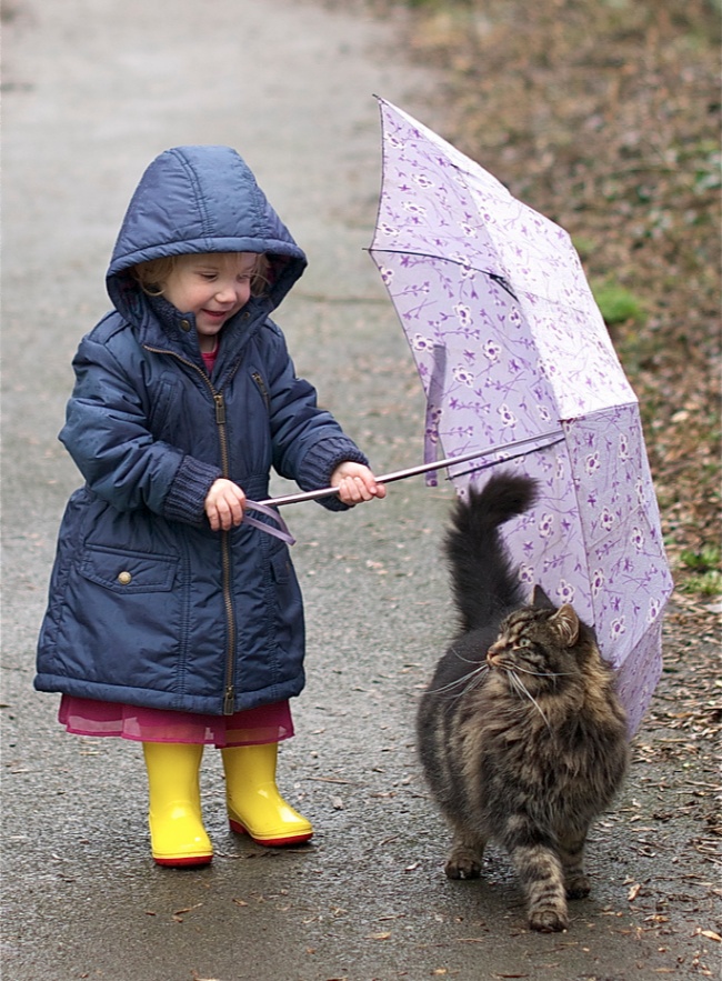 children-need-a-cat-in-their-life-15