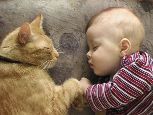 children-need-a-cat-in-their-life-16