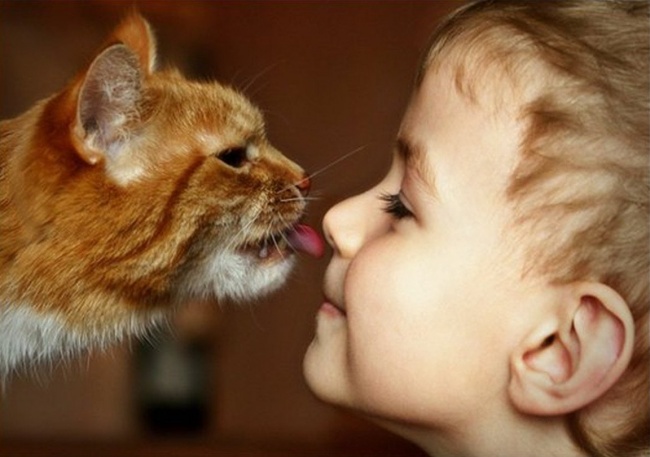 children-need-a-cat-in-their-life-19
