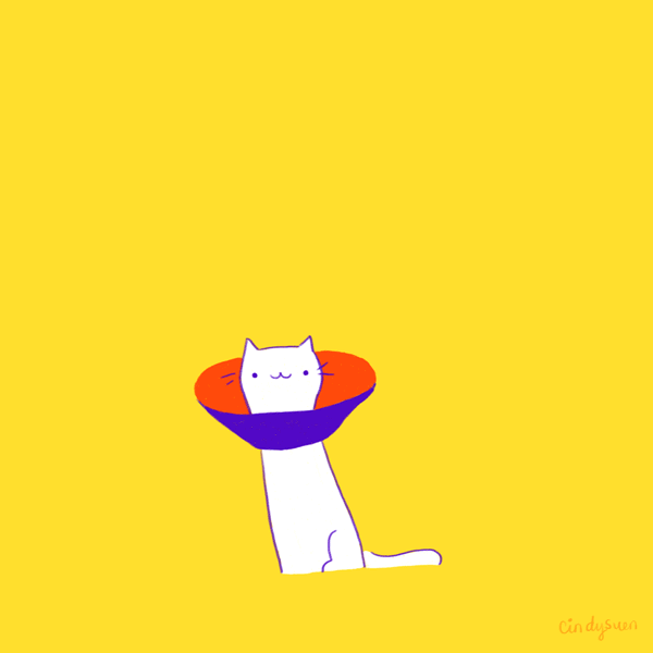 lion-cat-581554be36fa5__605