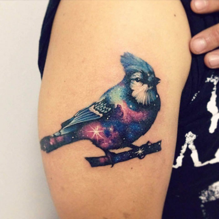 bird-tattoos-207-5811e3bab6be6__700