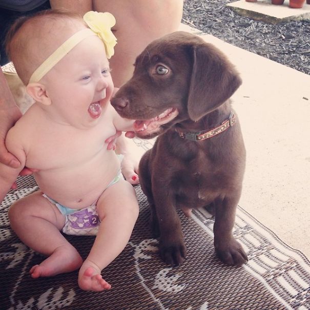funny-baby-parenting-moments-20-57fcce175c5a2__605