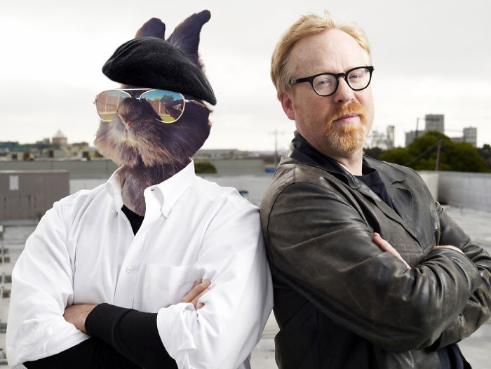 mythbusters-bunny-5811fc09c43a0__700