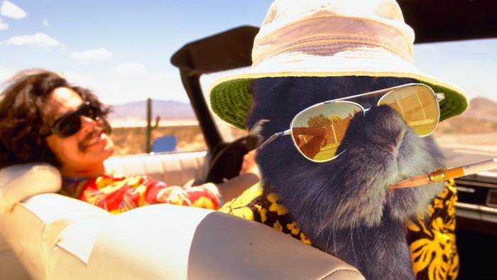 rabbit-wears-sunglasses-photoshop-battle-21-5811a6bbb608e__700
