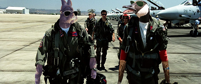rabbit-wears-sunglasses-photoshop-battle-40