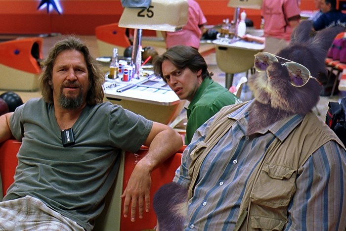 rabbit-wears-sunglasses-photoshop-battle-23-5811a6c0b0e6c__700