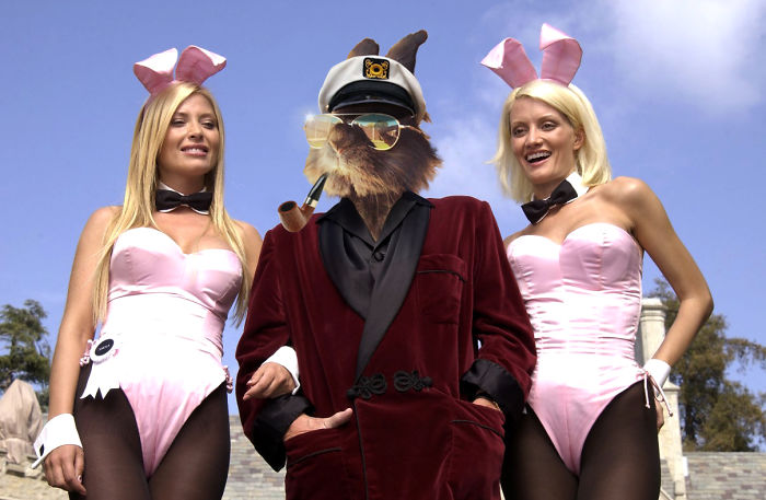 Hef-a-bunny-ball-581212c358e44__700