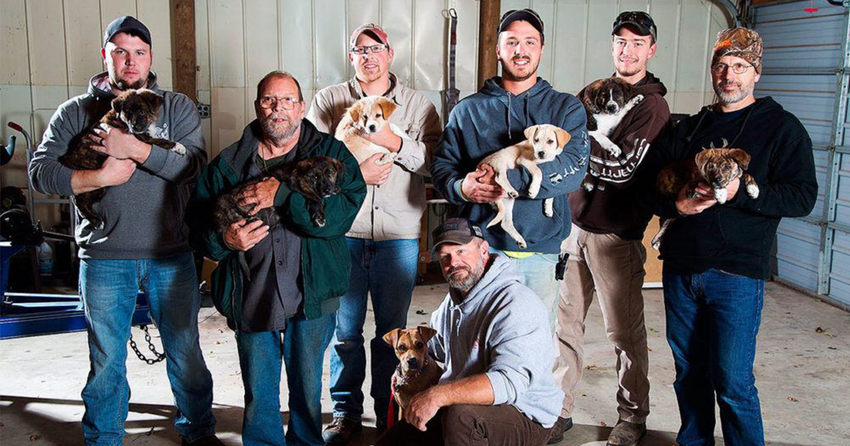 Une chienne et ses 7 chiots abandonnés transforment un Une chienne et ses 7 chiots abandonnés transforment un