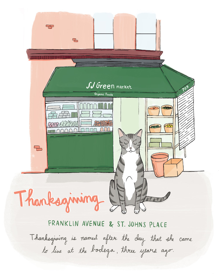 De Charmantes Illustrations Sur Les Chats Des Superettes De Brooklyn