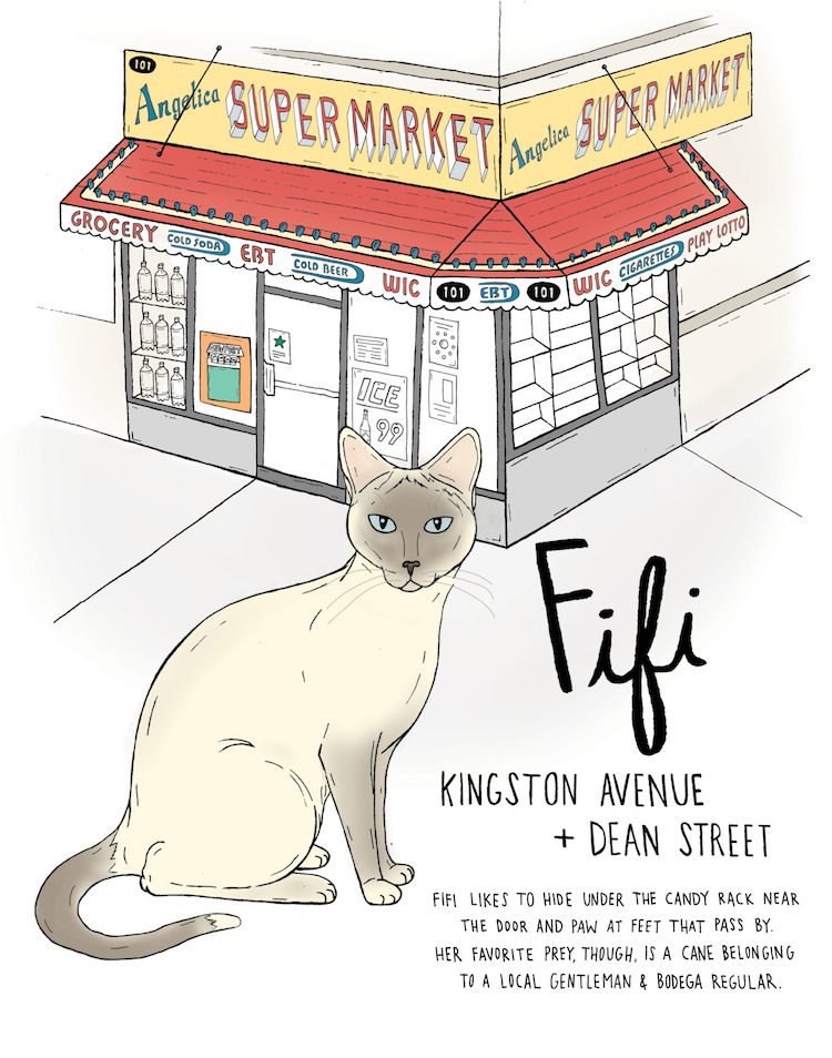 De Charmantes Illustrations Sur Les Chats Des Superettes De Brooklyn