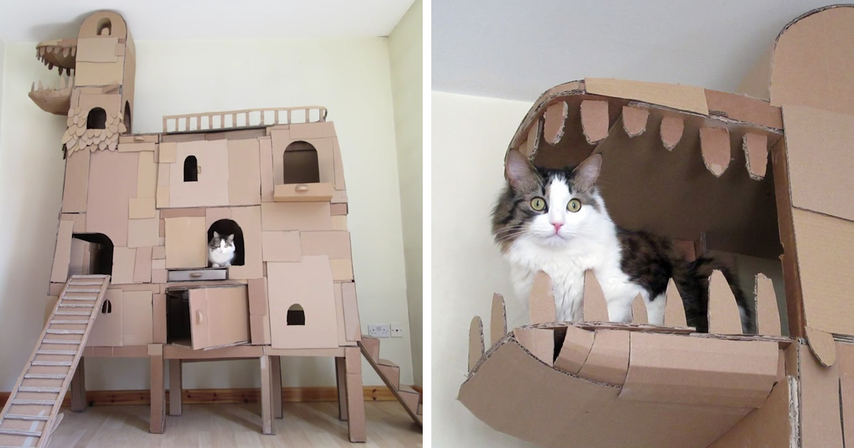 cardboard-ark-structure-cat-prefabcat-fb