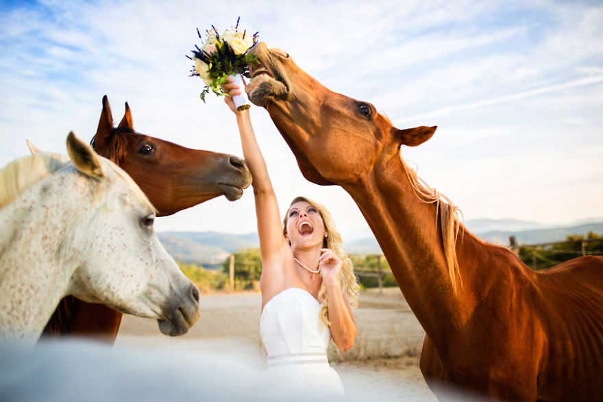 Les Plus Belles Photos De Mariage Au Monde Page 2 Sur 3