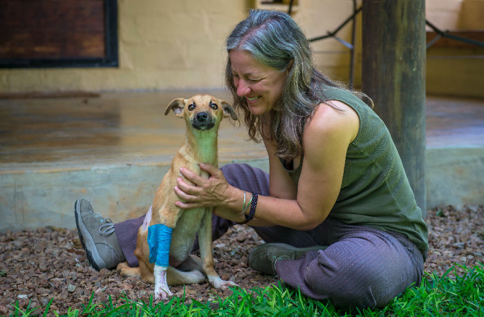 Cette chienne paralysée a traîné ses jambes sur des kilomètres en espérant que quelqu'un l'aiderait