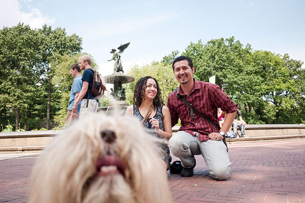 funny-dog-photobombs-80-58ef36809db2c__605