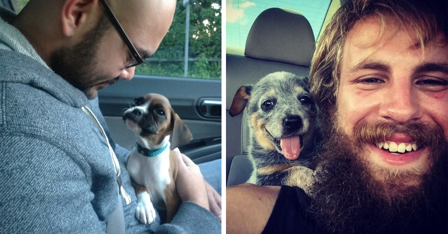 16-happy-dogs-who-just-met-their-humans-for-the-first-time