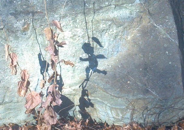 e834125ac3b3e3301b943cedf1cc5520_shadows-not-like-objects-133-59491f31707b8__605
