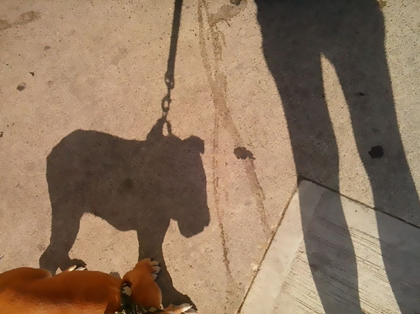88170fbd250c7a26f046b43b2ec4d304_Shadows-Not-Like-Objects-95-594b790ac5399__605