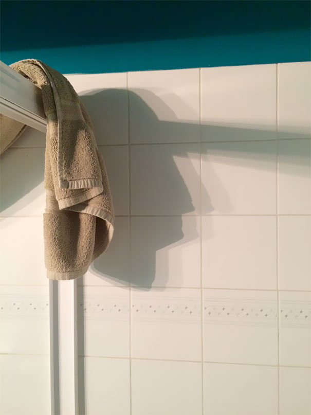 03b8a6df1c62c98facc13914d830b93a_Shadows-Not-Like-Objects-98-594b7adb687fa__605