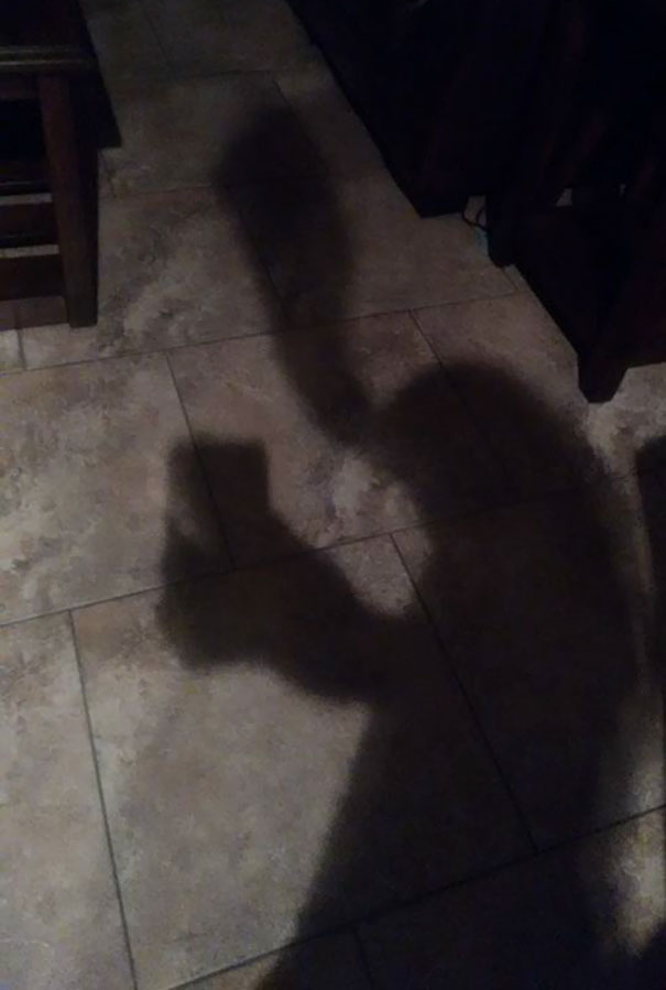 1a1996cab0027968d38d0c3ab86d0bcc_Shadows-Not-Like-Objects-106-594b8380eccb6__605