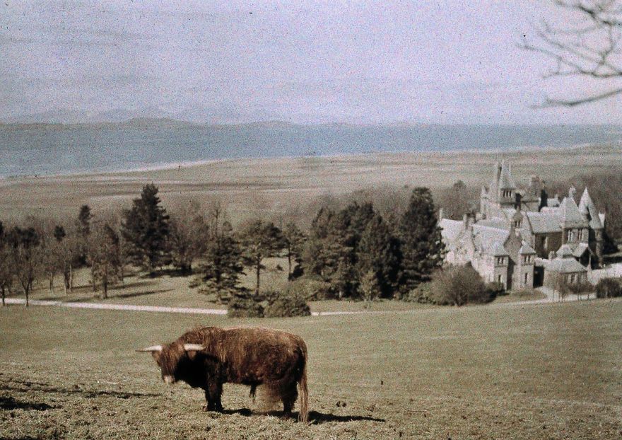 first-color-photos-vintage-old-autochrome-lumiere-auguste-louis-593e4f0287c92__880