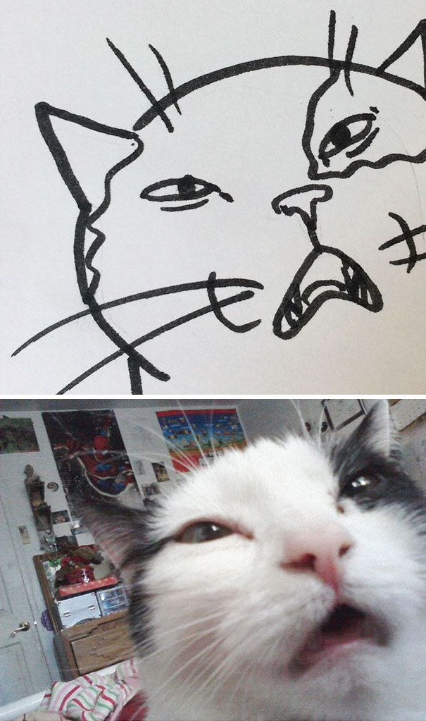 952789cded7c1630b82ca4703024c8e1_funny-poorly-drawn-cats-12-59705e7b9620a__605