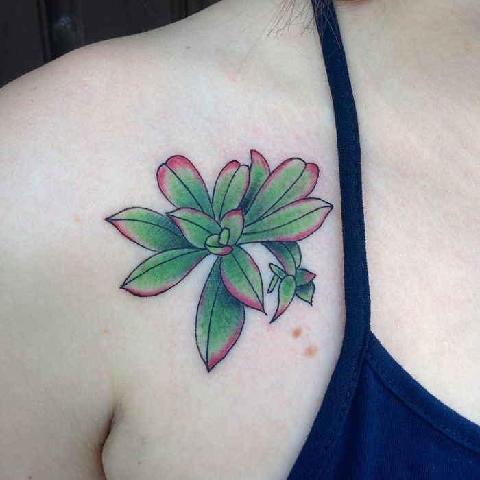 b959d23e5b525abd2cac29fa84644882_succulent-tattoo-designs-58f8b1cc9b452__700