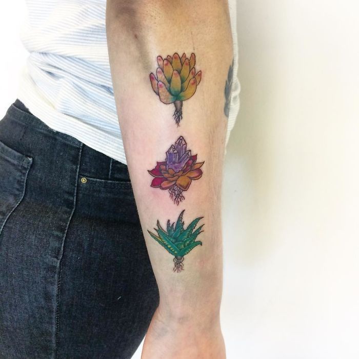 002a69a44e73ba04272ea56c95019582_succulent-tattoo-designs-58f8b7b096134__700