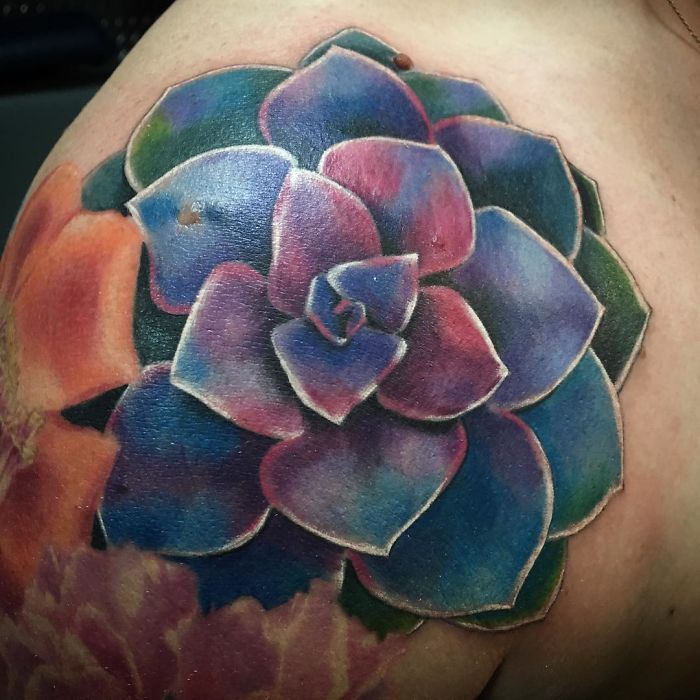 e8f9e560d45137217dc1f663474a2e88_succulent-tattoo-designs-58f8a9beb9f09__700